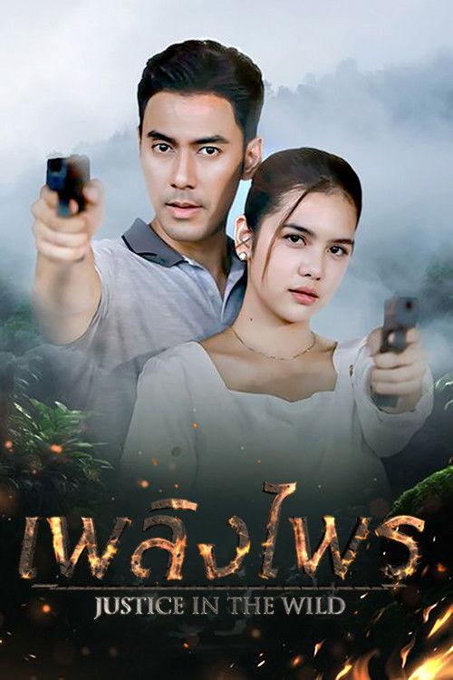 Poster for Justice in the Wild