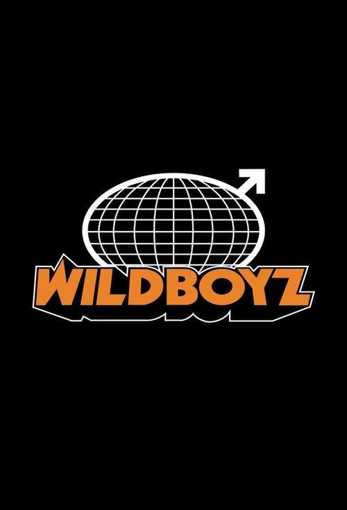 Poster for Wildboyz