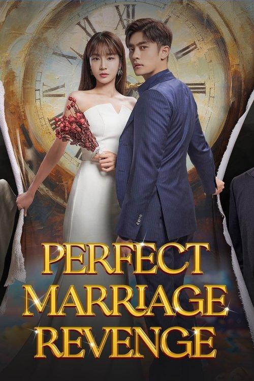 Poster for Perfect Marriage Revenge