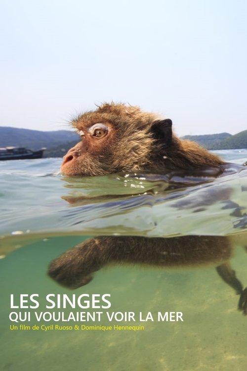 Poster for Les singes qui voulaient voir la mer