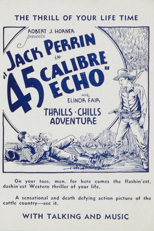 Poster for 45 Calibre Echo