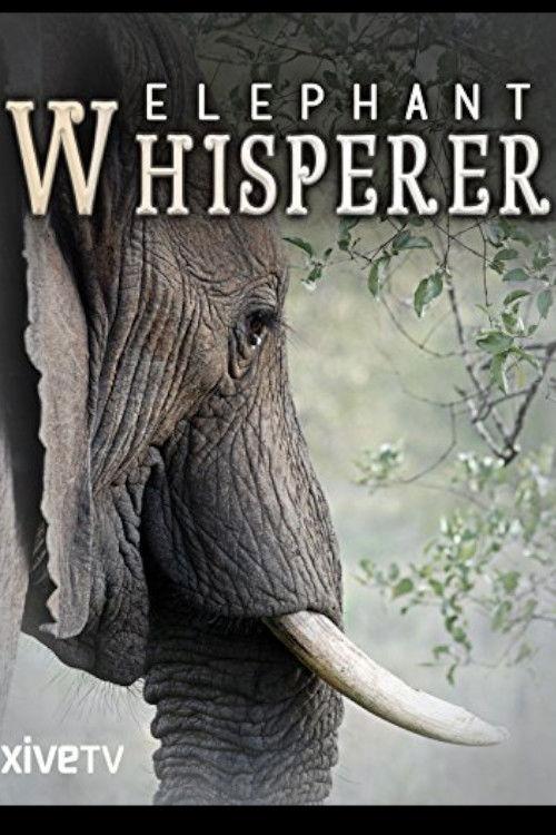 Poster for Elephant Whisperer