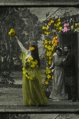 Poster for Fantastic Flowers