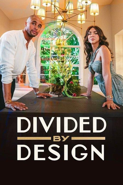 Poster for Divided by Design