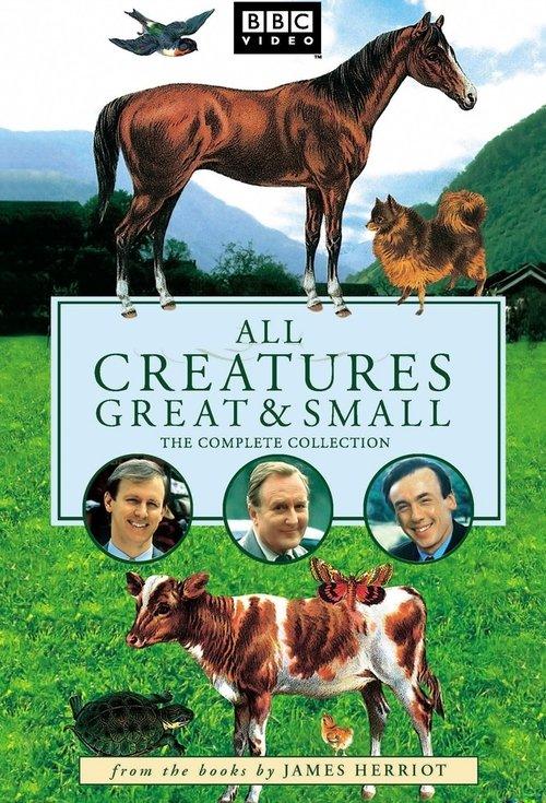 Poster for All Creatures Great and Small