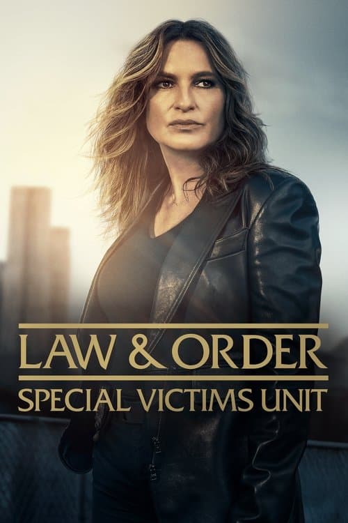 Poster for Law & Order: Special Victims Unit