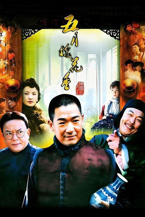 Poster for 五月槐花香