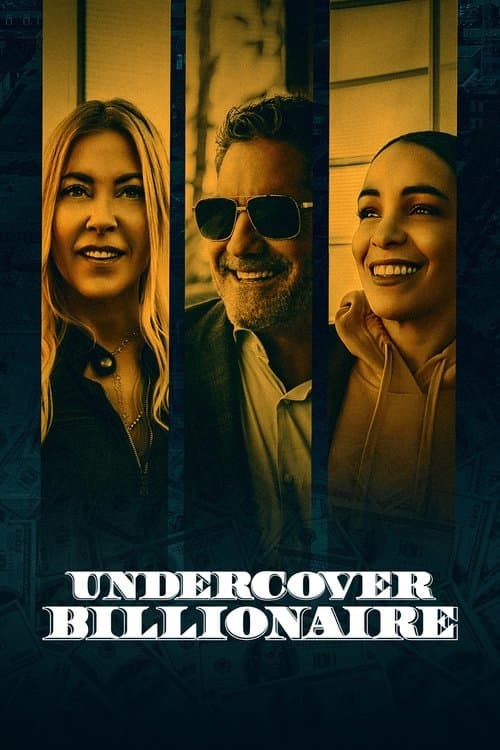 Poster for Undercover Billionaire