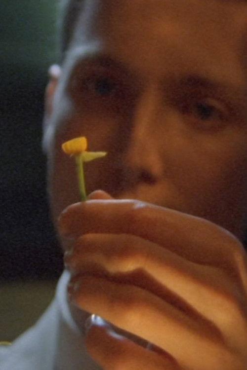 Poster for The Man Who Loved Flowers